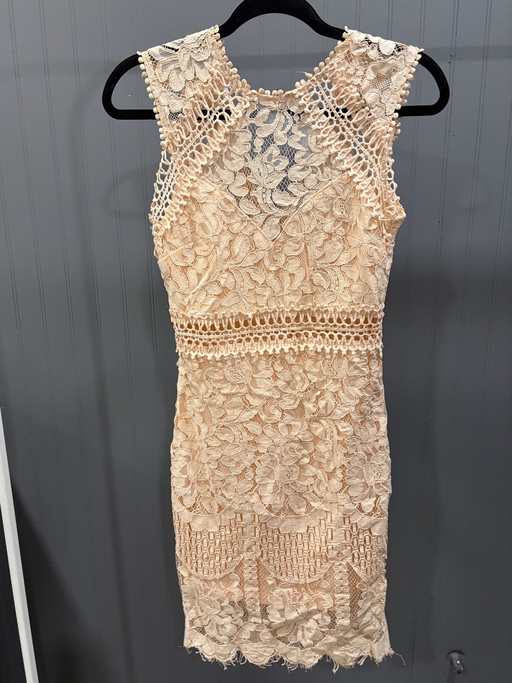Sleeveless Lace Sheath Dress in Blush